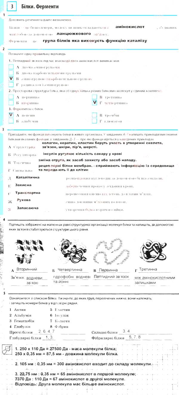 Тема 3. Білки. Ферменти - 9 клас Біологія Задорожний (робочий зошит) 2017  рік | Портфель